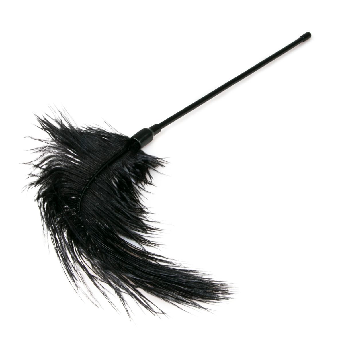 Easytoys Fetish - Black Feather Tickler