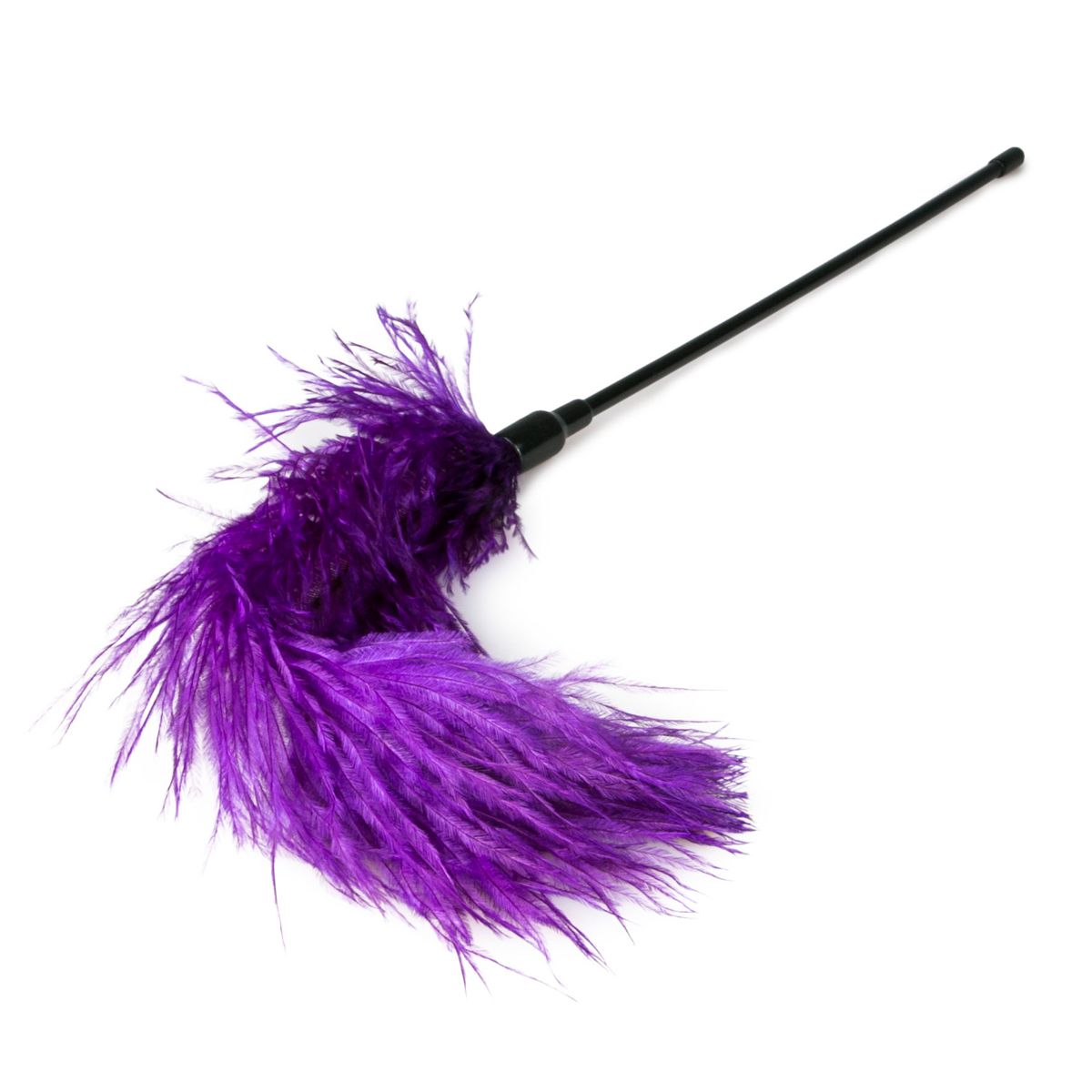 Easytoys Fetish - Purple Feather Tickler