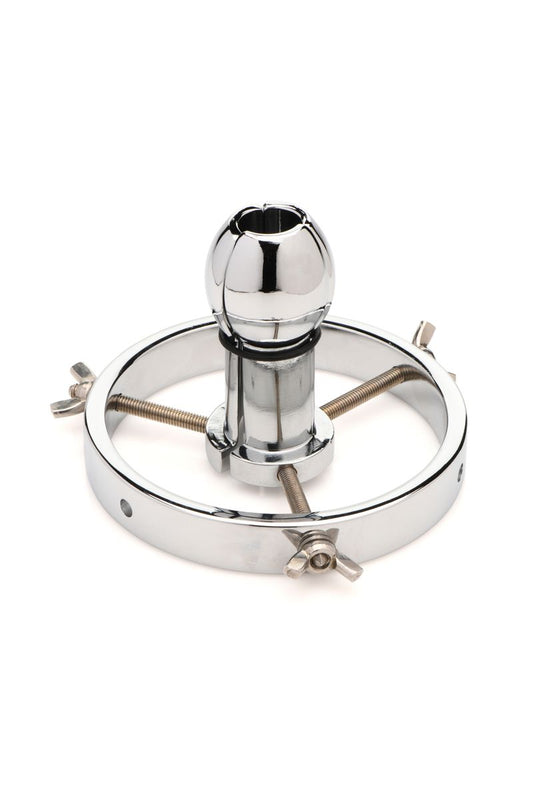 Stainless Steel Anal Explorer | Master Series