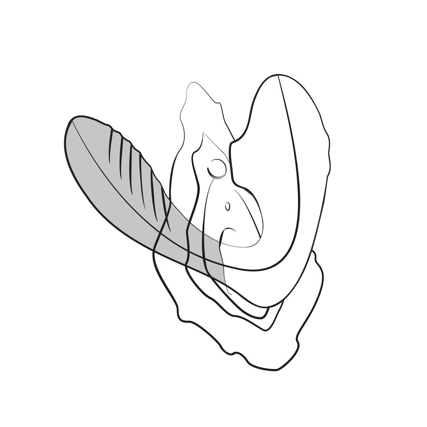 by Womanizer Reverb Double Pleasure 2 in | ROMP