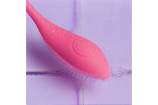 EasyConnect - Vibrating Egg Aria app-controlled