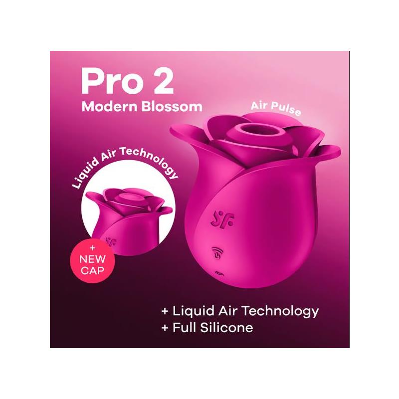 Pro 2 Modern Blossom | Satisfyer