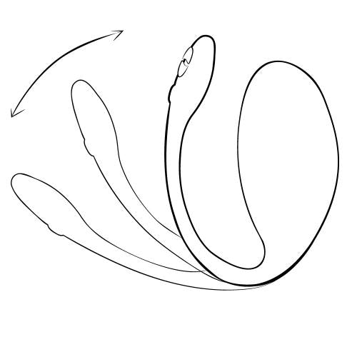 Jive 2 Wearable Vibrator | We-Vibe — Pink
