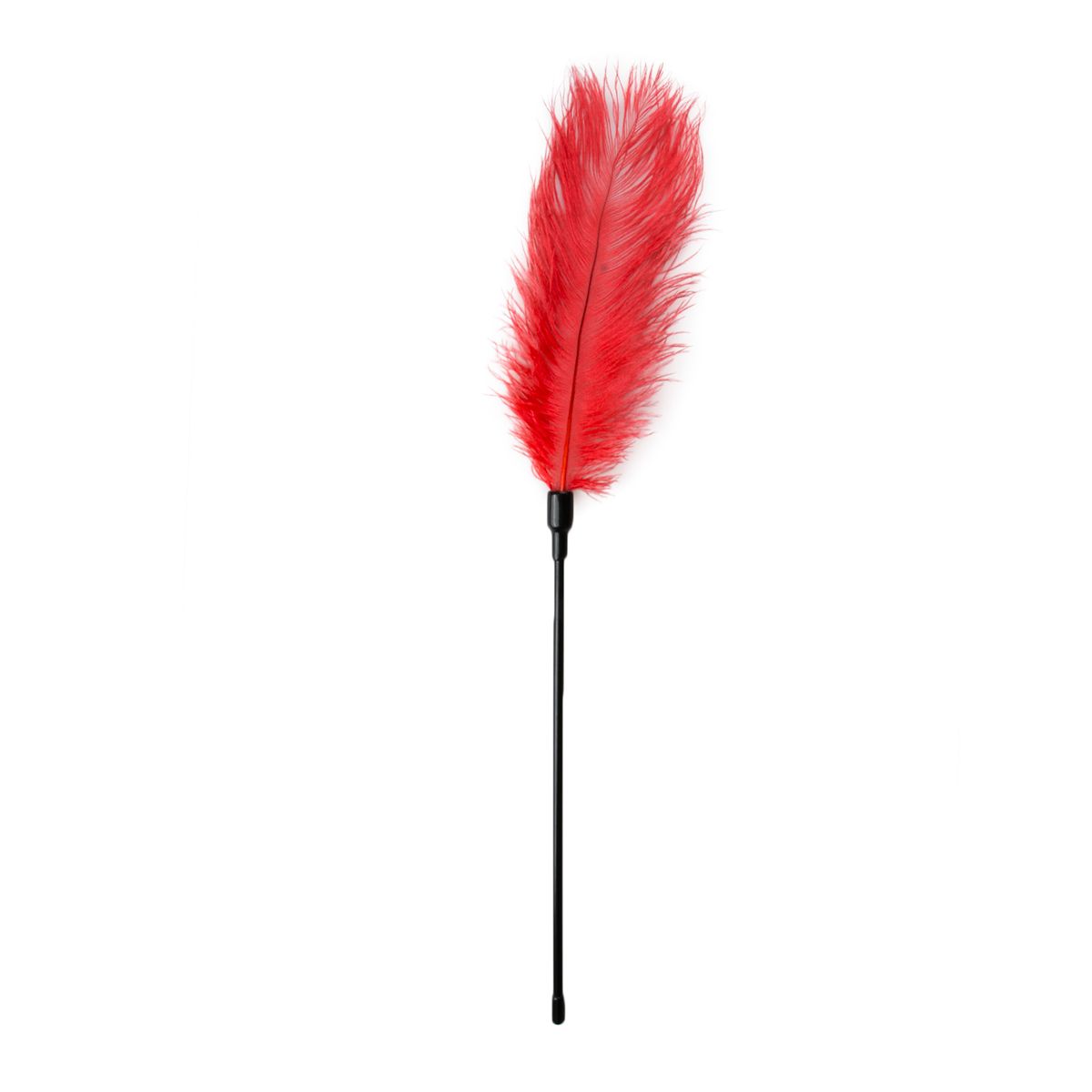 Fetish Feather Tickler | EasyToys — Red