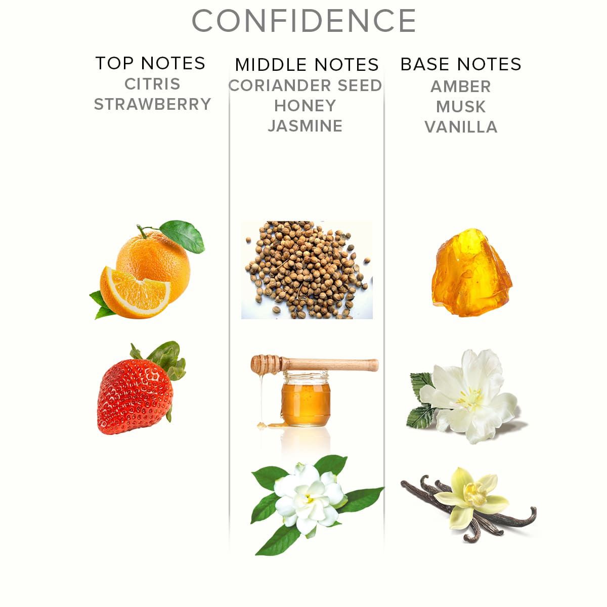 EOL - PHR Pheromone Perfume Confidence Deluxe - Male/Female