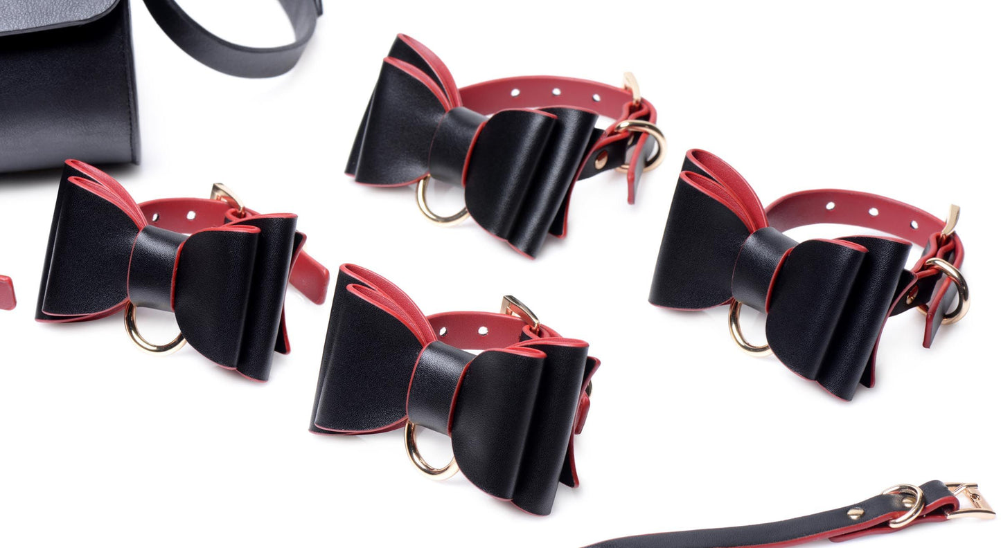 Master Series - Luxury BDSM Set With Travel Bag