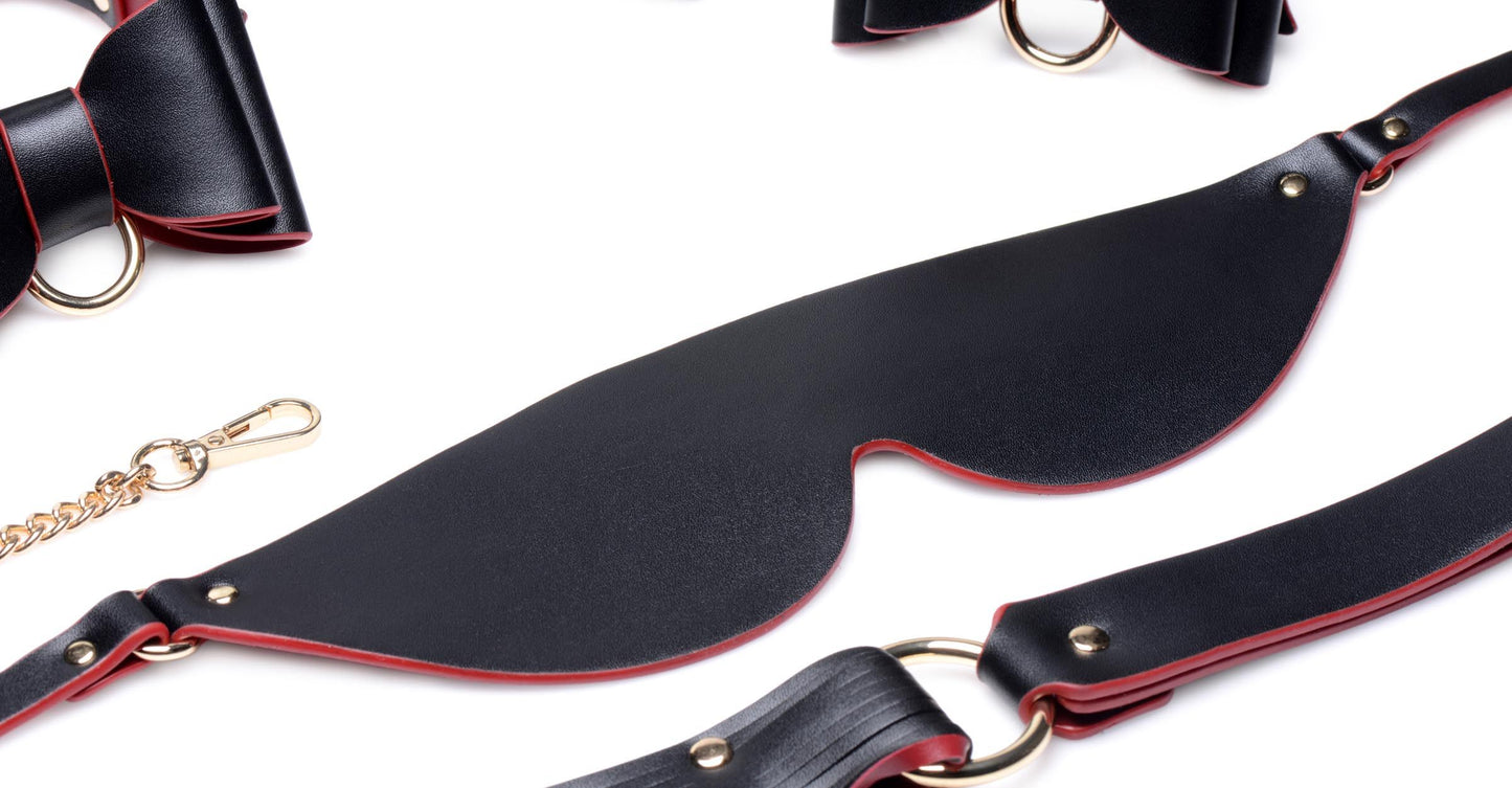 Master Series - Luxury BDSM Set With Travel Bag