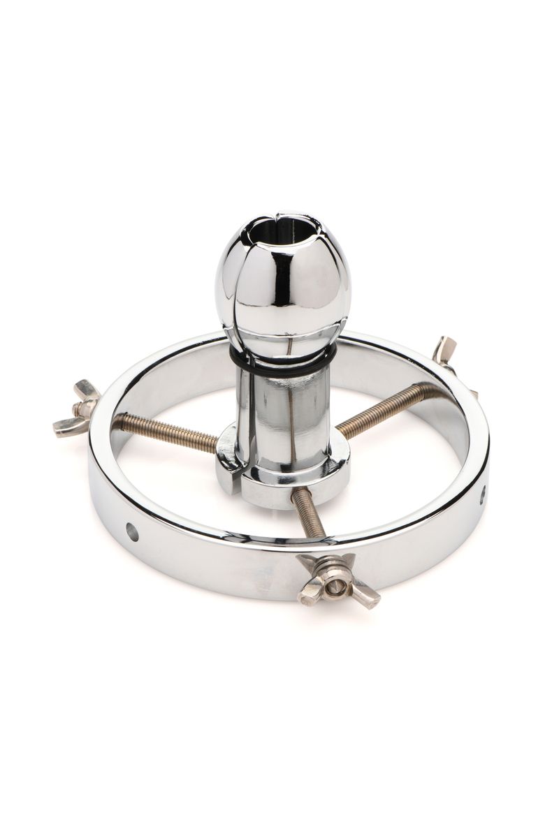 Master Series - Stainless Steel Anal Explorer