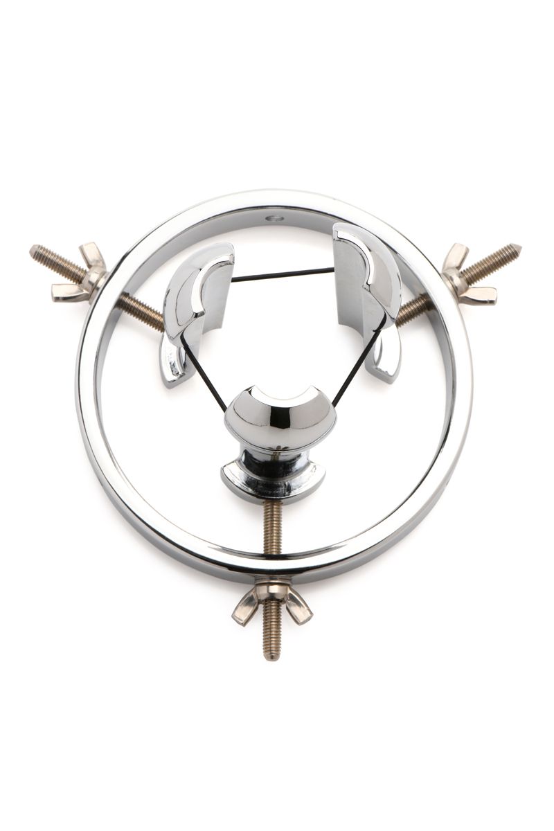 Master Series - Stainless Steel Anal Explorer