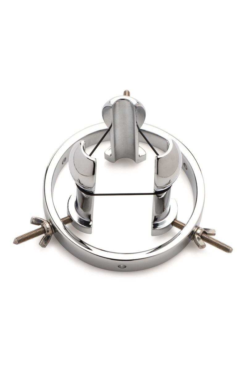 Master Series - Stainless Steel Anal Explorer