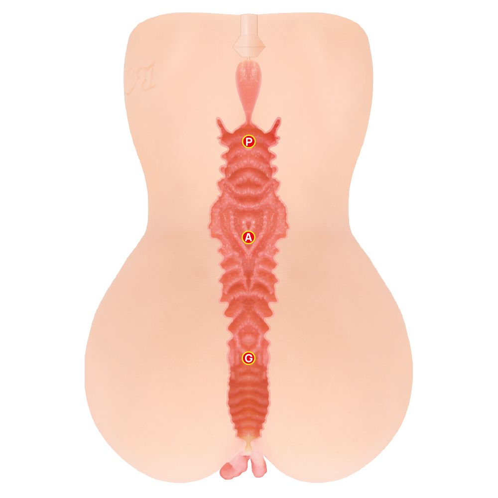 Kokos - Onahole Edition 001 Double Layer XL Masturbator – Pocket Pussy