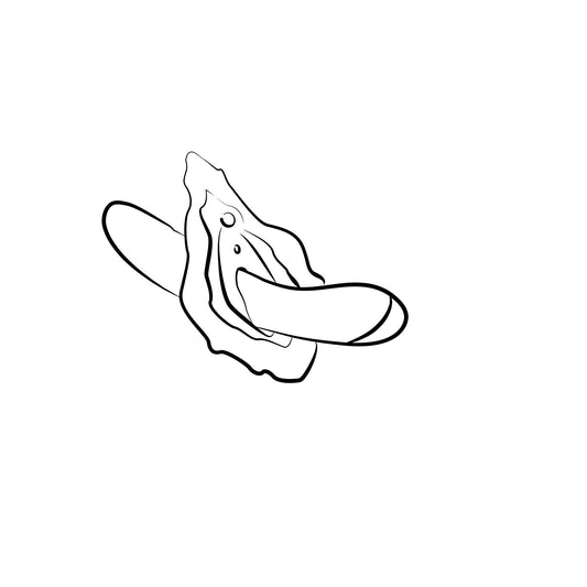 ROMP by Womanizer - Hype G-spot Vibrator