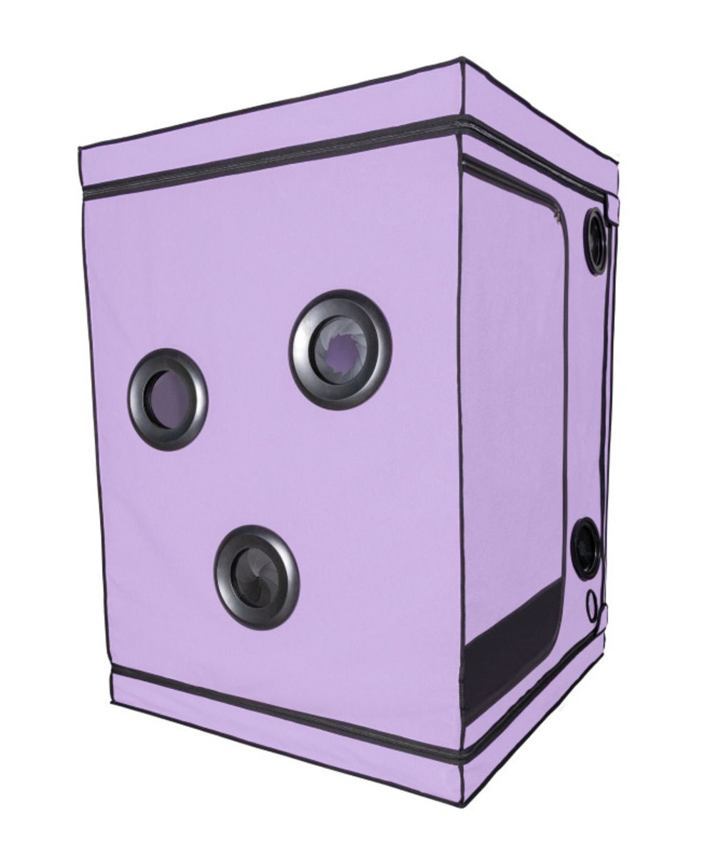 Secretdome – Scandale – Purple – Bondage Gear