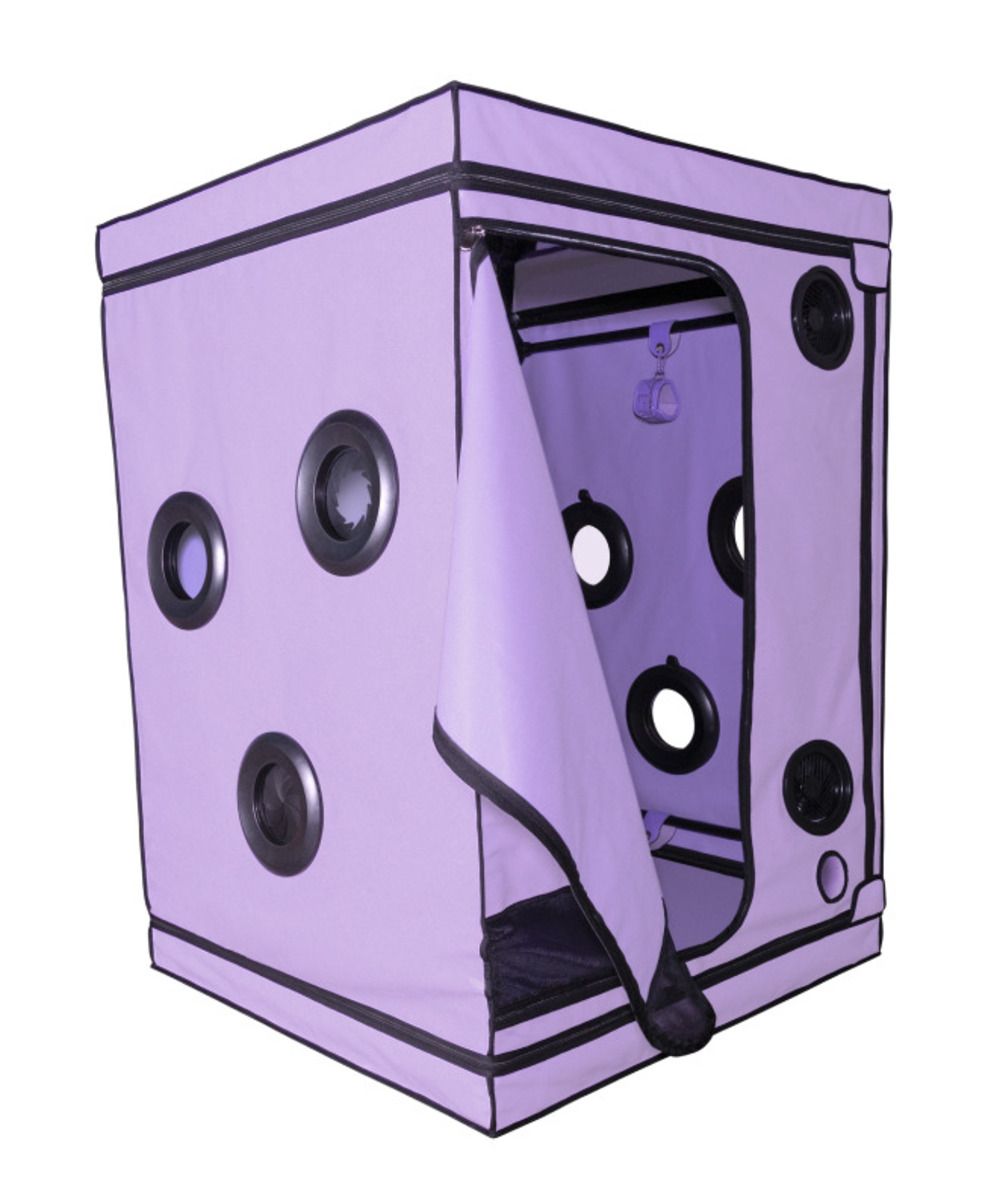 Secretdome – Scandale – Purple – Bondage Gear