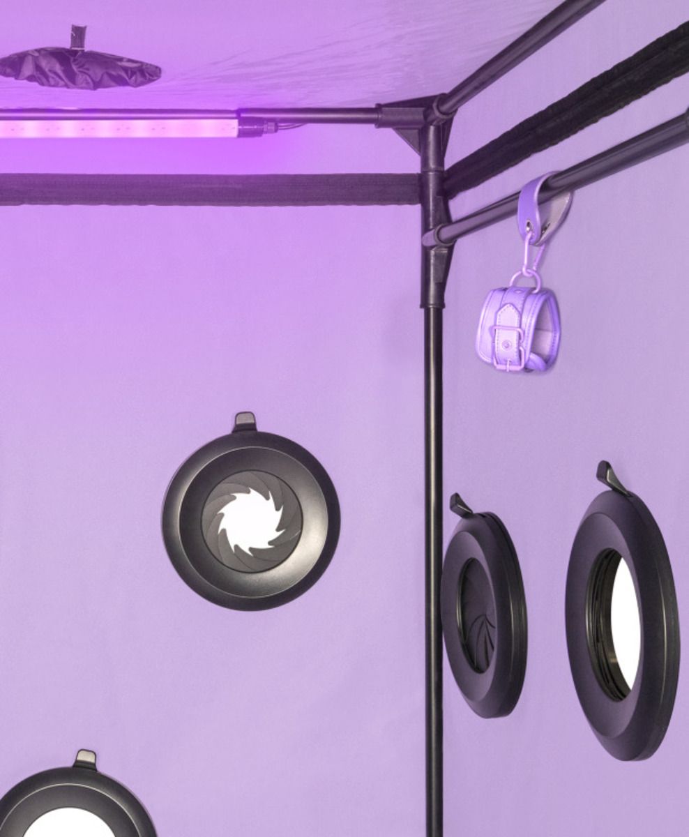 Secretdome – Scandale – Purple – Bondage Gear