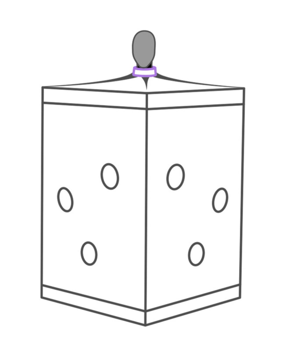 Secretdome – Scandale – Purple – Bondage Gear