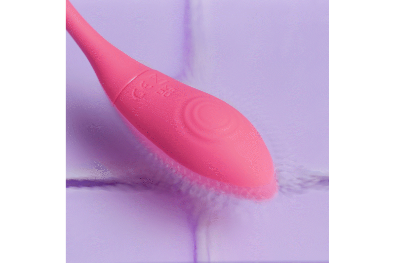 EasyConnect - Vibrating Egg Aria app-controlled