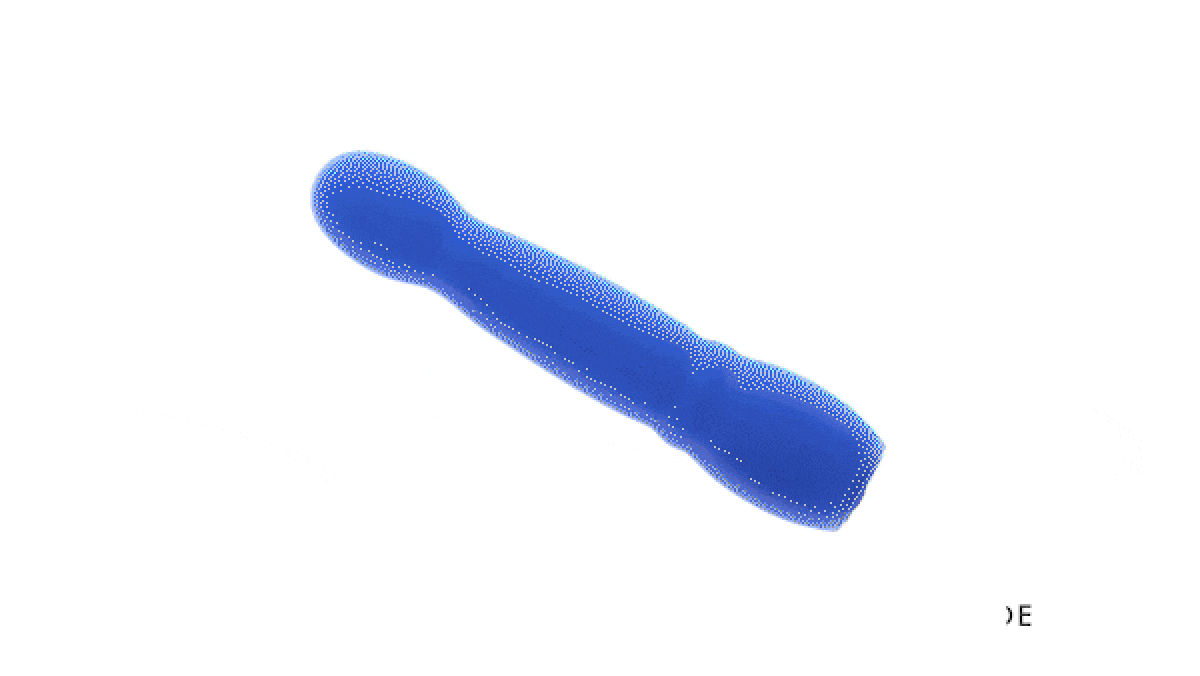 Evolved - Disco Diva Vibrator - Blue