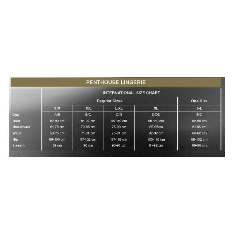 Penthouse - Enjoy The Moment Mesh Body
