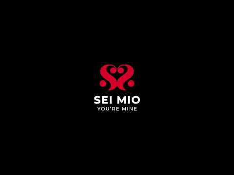 Comfortably in Control Deluxe Sex Position Restraint System | Sei Mio