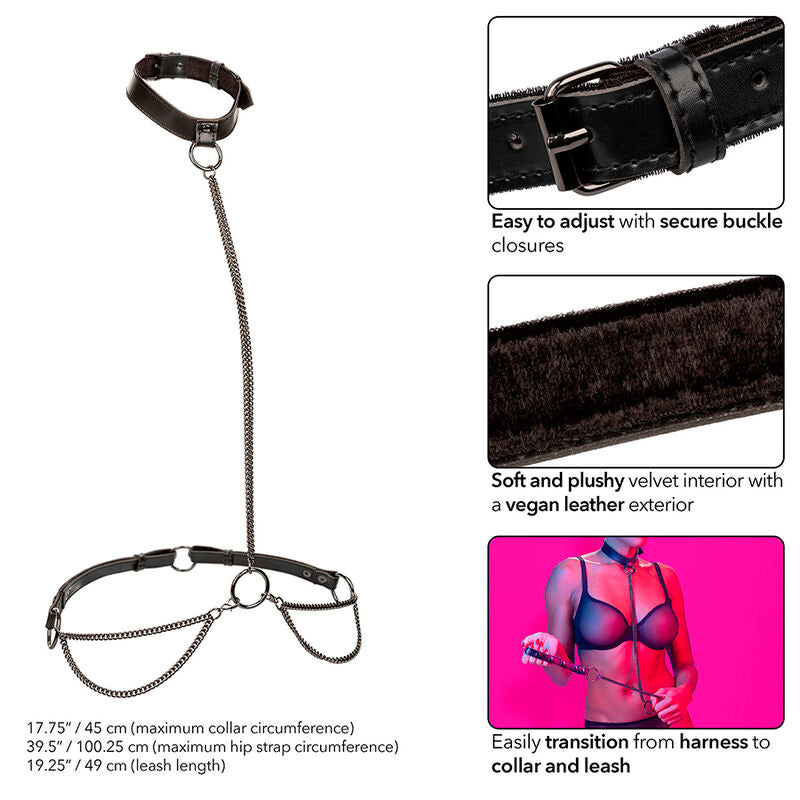 https://dreamlove.gesio.be/productos/imagenes/img_186245_78a3c9ec9831e95fd7d6858ba59f0377_1.jpg