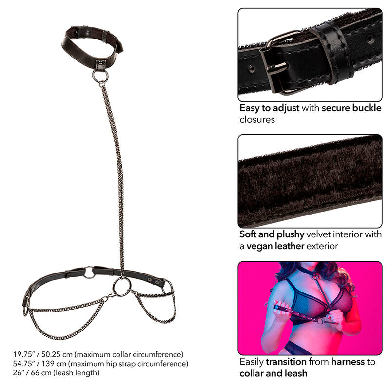 https://dreamlove.gesio.be/productos/imagenes/img_186246_31808d8ba8c16cf4ecf9bf1ef2ac4e5b_1.jpg