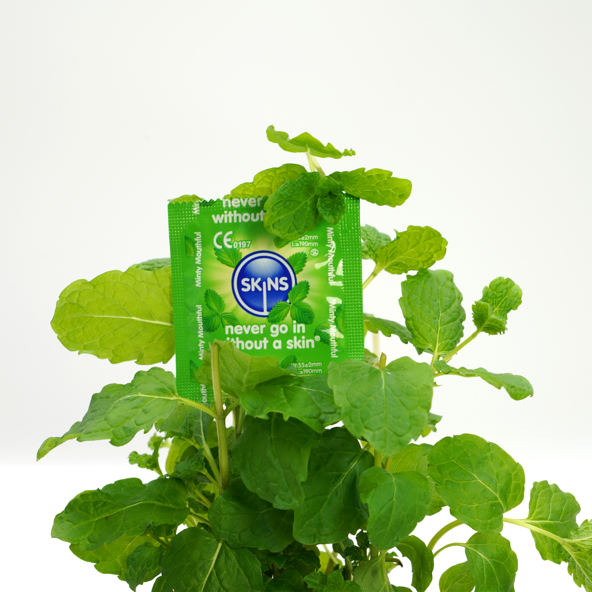 Condoms Mint 4 Pack | Skins
