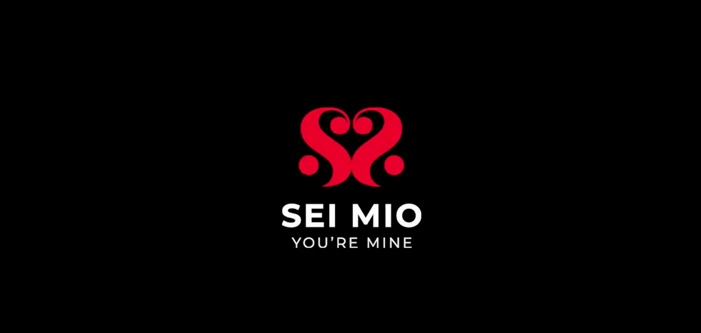Nights in Tied Satin 2 x Silk Sash Restraints | Sei Mio