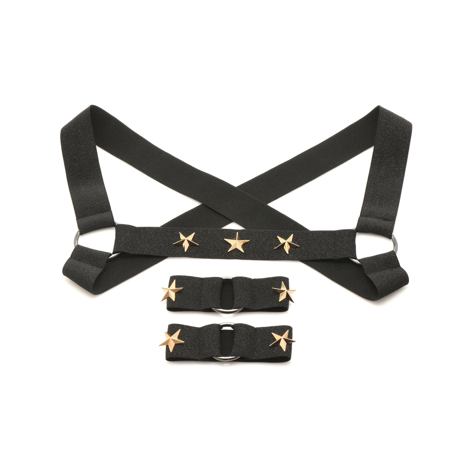 XR Brands Chest Harness with Armbands | Master Series